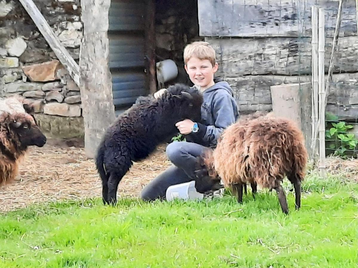 Le Gite Du Petit Plessis Saint-Viaud Zewnętrze zdjęcie