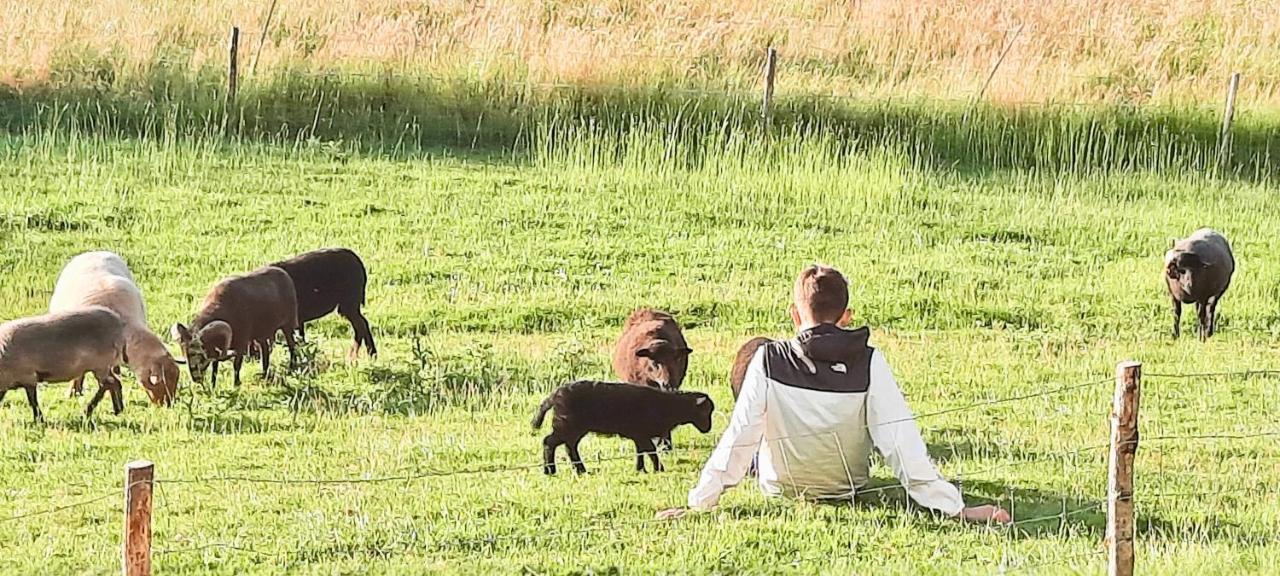 Le Gite Du Petit Plessis Saint-Viaud Zewnętrze zdjęcie